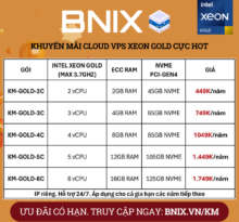 Giải phóng miền nam – Giải phóng tài nguyên – VPS Xeon Gold siêu ưu đãi